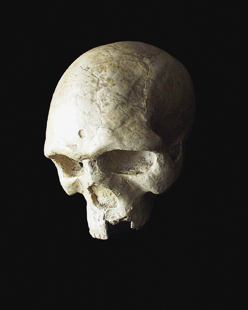 <p>Unisa establishes its Museum of Anthropology and Archaeology. The museum’s first artefact is a cast of the cranium of <em>Homo neanderthalensis</em> or “Neanderthal man”.</p>